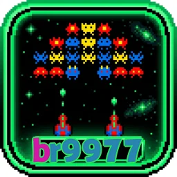 br9977