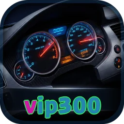 vip300